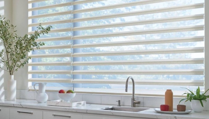 Hunter Douglas Pirouette® Window Shadings near Wayne, New Jersey (NJ) Modern Window Shades Sheers Sheer Shadings